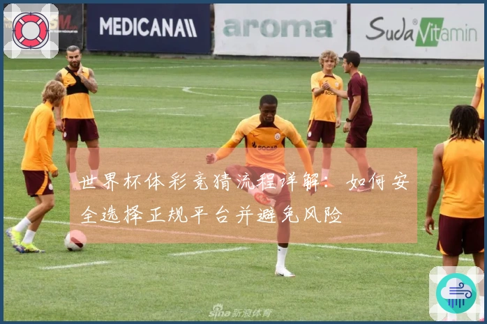世界杯体彩竞猜流程详解：如何安全选择正规平台并避免风险