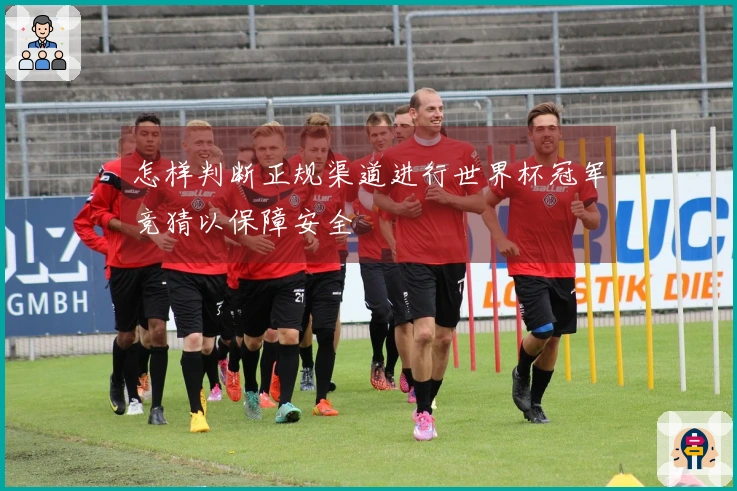 怎样判断正规渠道进行世界杯冠军竞猜以保障安全