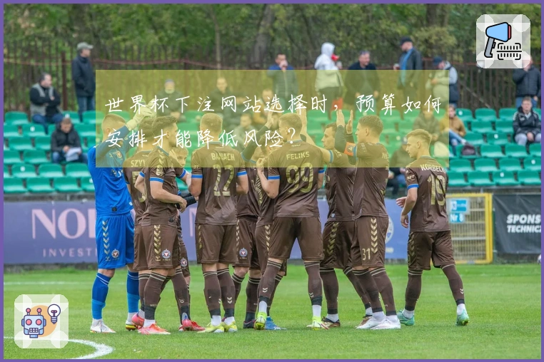 世界杯下注网站选择时，预算如何安排才能降低风险？