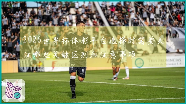 2026世界杯体彩平台选择时需要关注哪些关键区别和注意事项