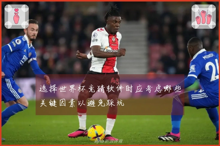 选择世界杯竞猜软件时应考虑哪些关键因素以避免踩坑