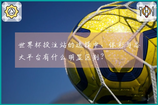 世界杯投注站的选择中，体彩与各大平台有什么明显区别？