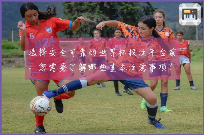 选择安全可靠的世界杯投注平台前，您需要了解哪些基本注意事项？