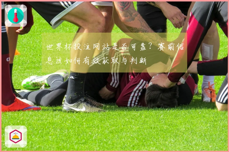 世界杯投注网站是否可靠？赛前信息该如何有效获取与判断