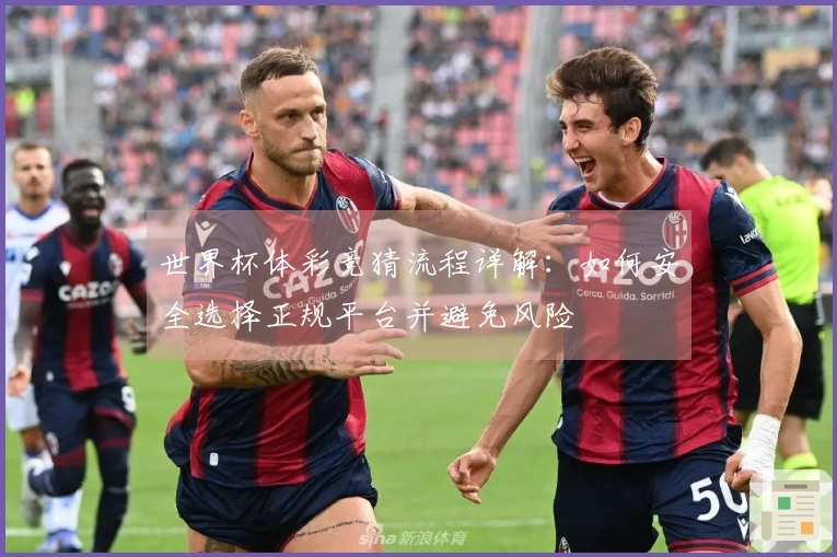 世界杯体彩竞猜流程详解：如何安全选择正规平台并避免风险